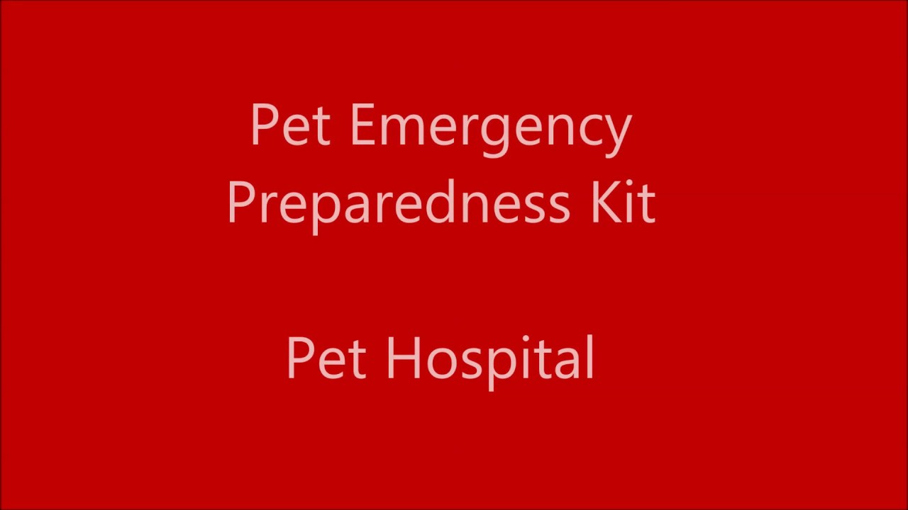 camera iphone 8 plus apk How to put together a Pet Emergency Preparedeness Kit
