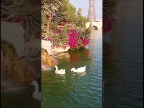 اللهم صل وسلم على سيدنا محمد مكررة 10 مرات بصوت أطفال