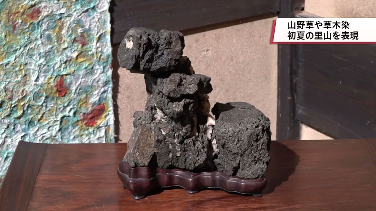 06/06 Wildflowers, Bonsai, and Suiseki Exhibition - YouTube