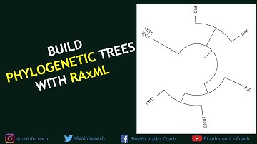 How to Build any Phylogenetic Trees using RAxML and iTOL | Bioinformatics 101 for Beginners