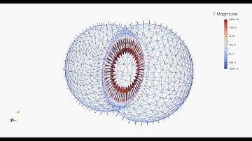 Cell division, Forces in the contractile ring