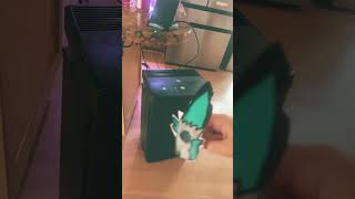New color changing puppet!