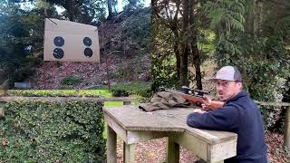 Spring Air gun V PCP