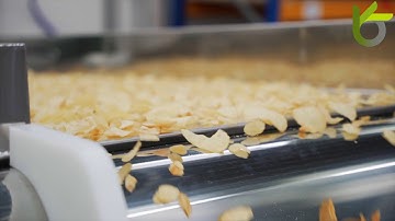 NOVUS - the optical beltsorter for all kinds of chips