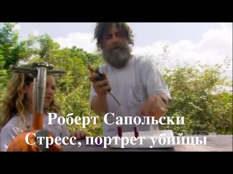 Роберт Сапольски. Стресс, портрет убийцы. Перевод - STAHANOV2000