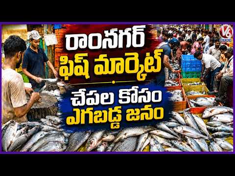 Ramnagar Biggest Fish Market Over 200 Varieties of Fish Sold Here | V6 News - V6NEWSTELUGU