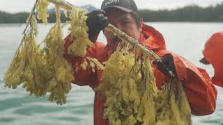 What is a First Nations Economic Development Corporation | Kitasoo Xai'xais Economics Explained