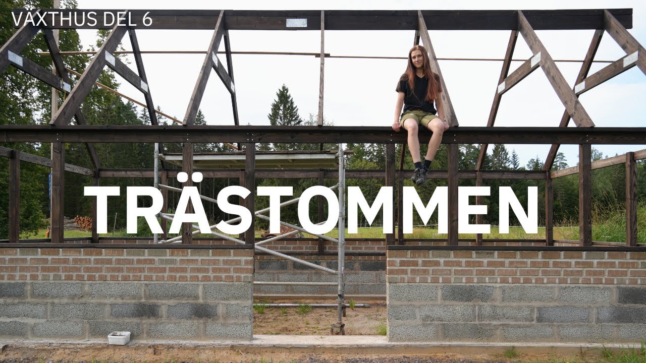 VÄXTHUS DEL 6: TRÄSTOMMEN | konstruktion av väggar & takstolar, ytbehandling (shou sugi ban)