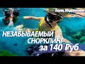 Амед (Бали) | День 1 Часть 1 | Снорклинг у корабля | Водный храм Тирта Ганга | Джунгли и Гугл карты