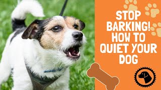 STOP BARKING! How to Stop My Dogs Incessant Barking | DOG BLOG 🐶 #BrooklynsCorner by Brooklyns Corner 92 views 4 months ago 4 minutes, 36 seconds