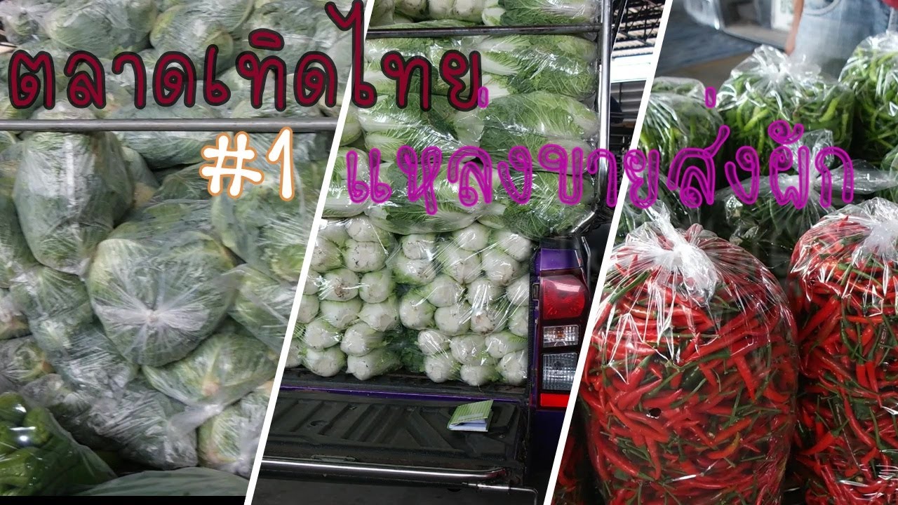 ตลาดขายส่ง  New  #1 ตลาดเทิดไท ตาลคู่ โคราช ตลาดขายส่งผักทุกชนิด