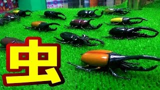 【ＵＦＯキャッチャー】カブトムシシリーズ全種類補完計画！