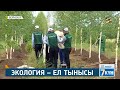 Экология – ел тынысы: көгалдандыру жұмыстары қарқын алды