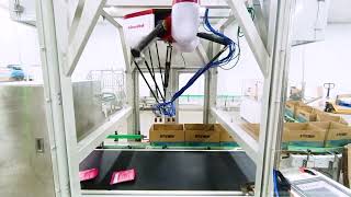 Automatic Case-Packing of Cheese Sticks with AtomVision System by Delta(Spider) Robot
