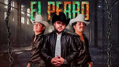 Gerardo Ortiz & Los Dos Carnales  El Perro (En Viv...