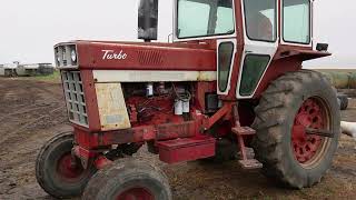 BigIron Auctions International 1975 1066 2WD Tractor