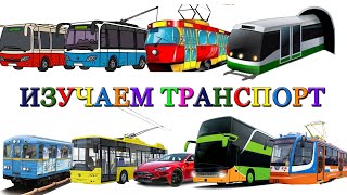 Городской транспорт и Железная дорога развивающее видео | Про Поезда, трамвай и машинки