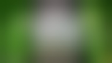 Perfect 2x4 Autoflower Grow Tent Setup! Quiet, Automated Environment!