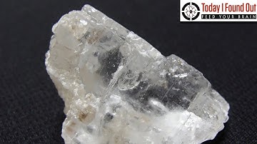 Why Does Salt Enhance Flavor?