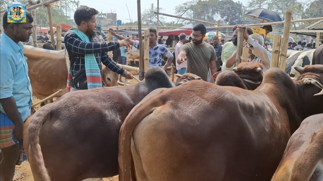 @ ২৮ ফেব্রু