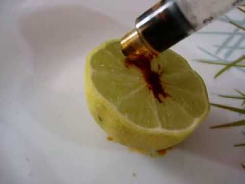 experimentos con alimentos experimento youtube experimentos con alimentos experimento youtube