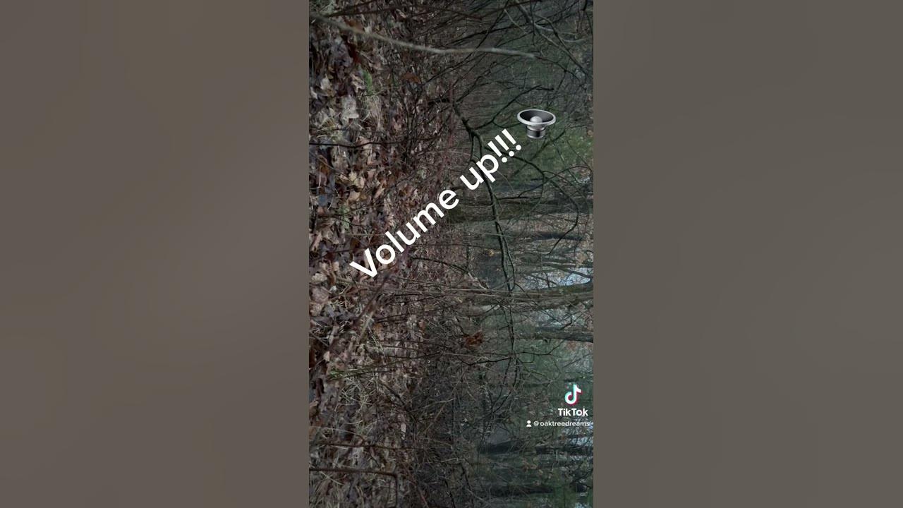 Who’s ready to listen to nature’s alarm clock?! #fyp #viral #nature #daily #viralshorts #wildlife
