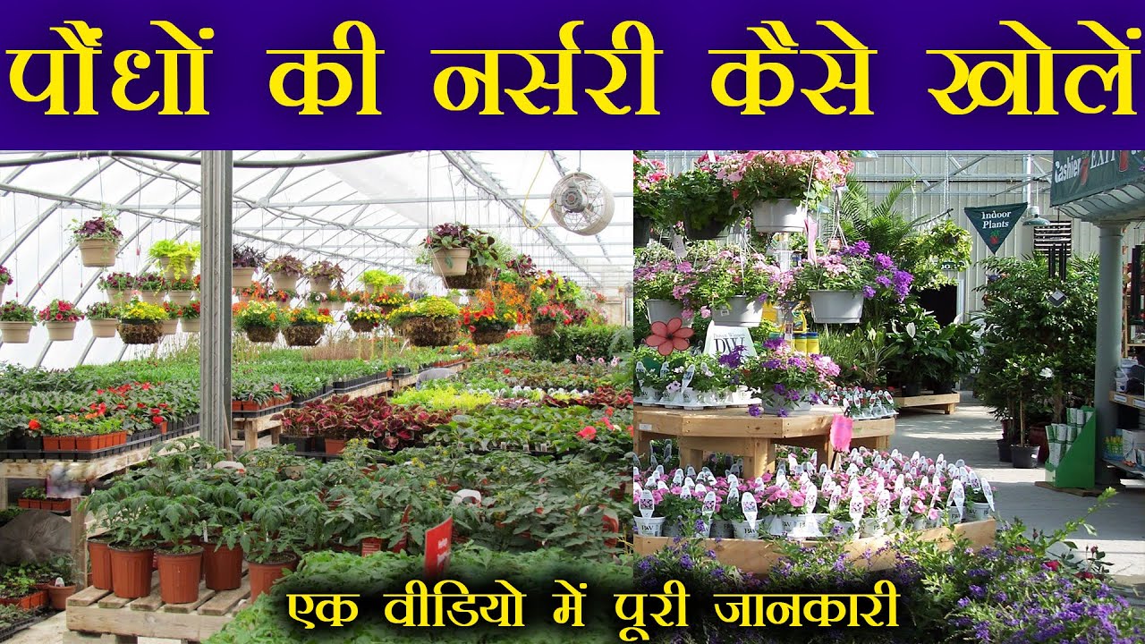 plant nursery business plan in hindi