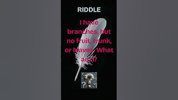 "I Have Branches But No Leaves – Can You Solve This Riddle?" #riddlejourney #enigmind #quotes
