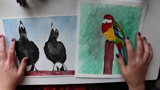 Watercolour Speed Paint:|| Warbling Magpies and Eastern Rosella  |NO TALKING|ASMR