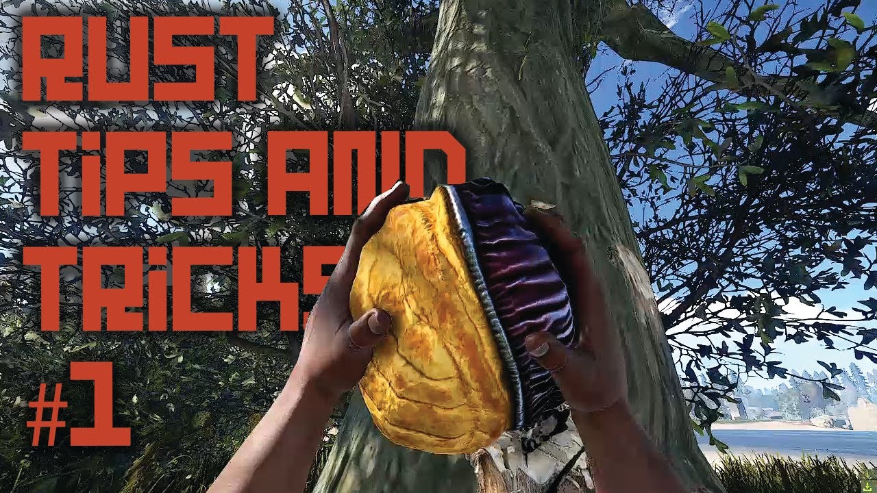 Beginners Tips & Tricks Guide 2021 - Rust Tutorial - YouTube