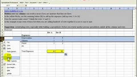 Excel 2003 sums hidden cells which means that you could have an error- use GROUP rather