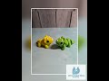 Adorable 3D Printed Medium Creatures