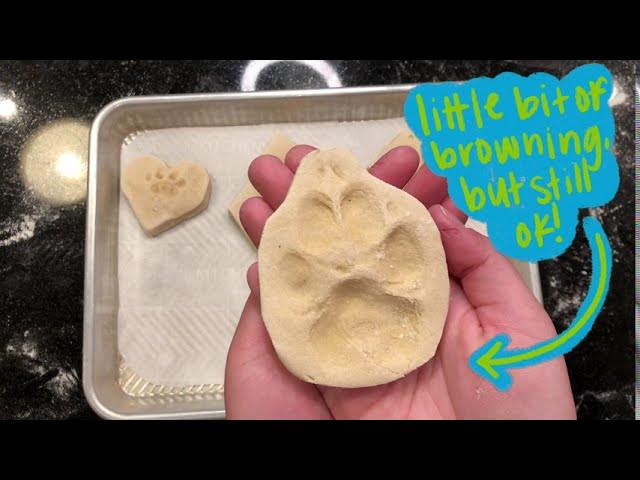 How To Make a Plaster of Paris Paw Print - Crystal Storms