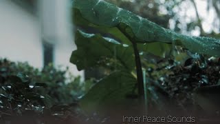 Rainfall Resonance: Nature's Rhythm | Relaxing music, healing rain sound, meditation music