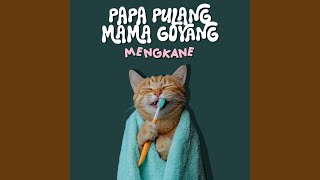 DJ PAPA PULANG MAMA GOYANG MASHUP