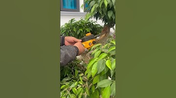 Máy cưa xích pin hukan chuyên cắt cây tỉa cảnh đục khoét tạo dáng cho cây cảnh | Dụng cụ làm vườn