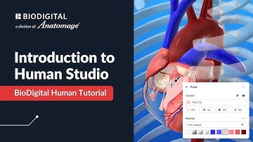 Introduction to Human Studio: 3D Anatomy Authoring for Medical Education