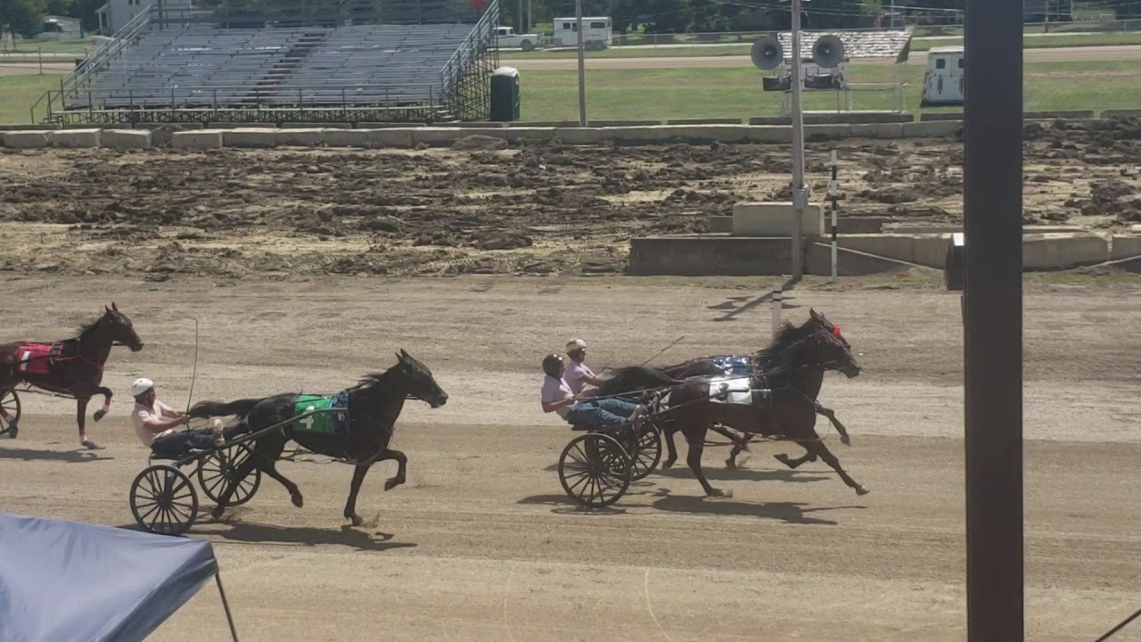 Amish Racing 2k19 Jefferson county Amish harness race - YouTube