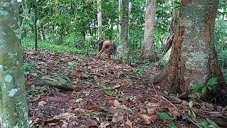 Download Lagu SEPASANG SUKU MANTE MAKAN DURIAN MP3