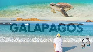 My Solo Trip to the Galapagos: An Epic Week of Snorkeling, Sharks & Sea Lions