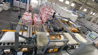 Automatic Bag Stacking Palletizer High Level High Speed 50KG Sugar Cement Bags Palletizing Machine by Tian Wang 110 views 2 months ago 54 seconds