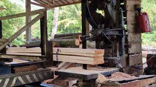 God-Level Speed! Super Efficient Mechanical Sawmill