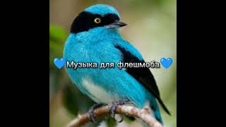 💙Музыка для флешмоба💙