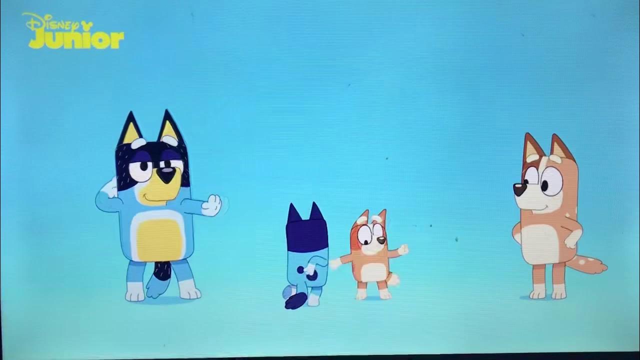 Bluey Theme Song - YouTube
