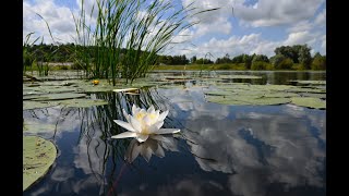 Екклесиаста. Читаем, понимаем. 24.05.2024