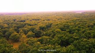 Tangail modhupur Forest #nature #beutifull Modupur