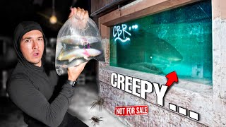 BUYING ALL The CREEPY FISH Off The WEB...