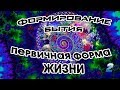 Первичная форма жизни