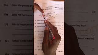 Basic electronics// thermionic emission// C.R.O