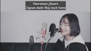 SHAUN - Way Back Home (Cover YEN 옌) Lyrics Romawi
